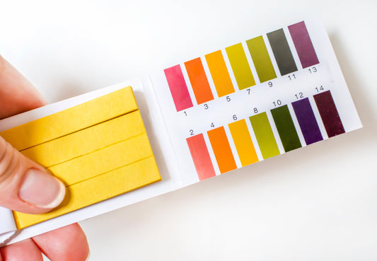 Do You Really Know What Is Vaginal pH Value?